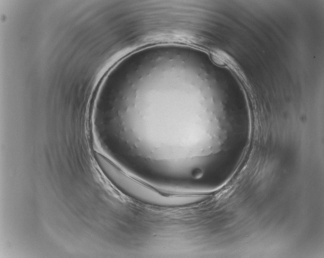 X0000057091052200509120914