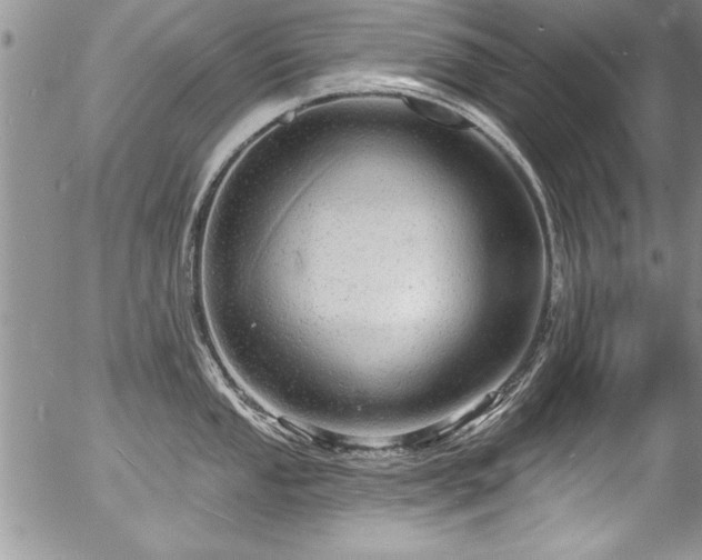 X0000057091053200509120914