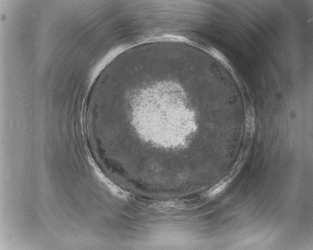 X0000057091054200509120914