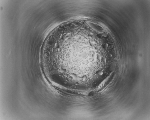 X0000057091055200509120914