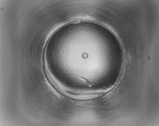 X0000057091056200509120914