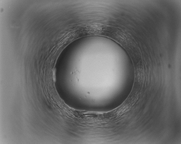 X0000057091057200509120913