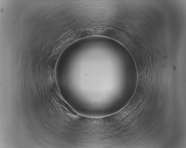 X0000057091058200509120913