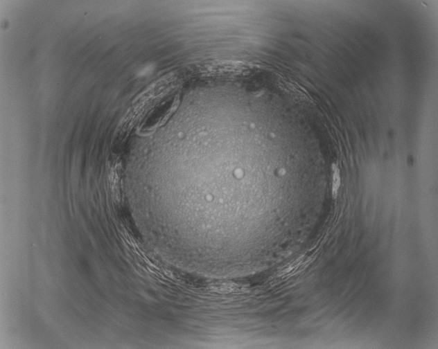 X0000057091059200509120913