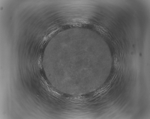 X0000057091060200509120913