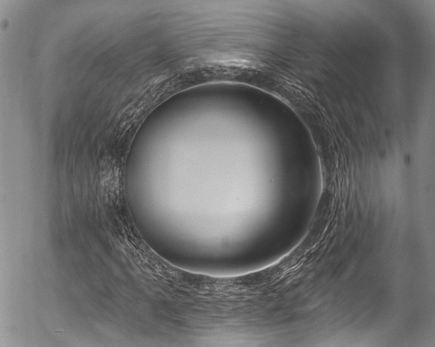 X0000057091061200509120913