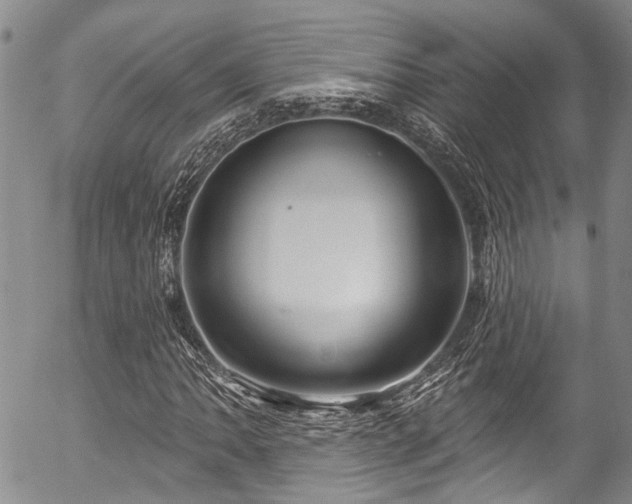 X0000057091062200509120913