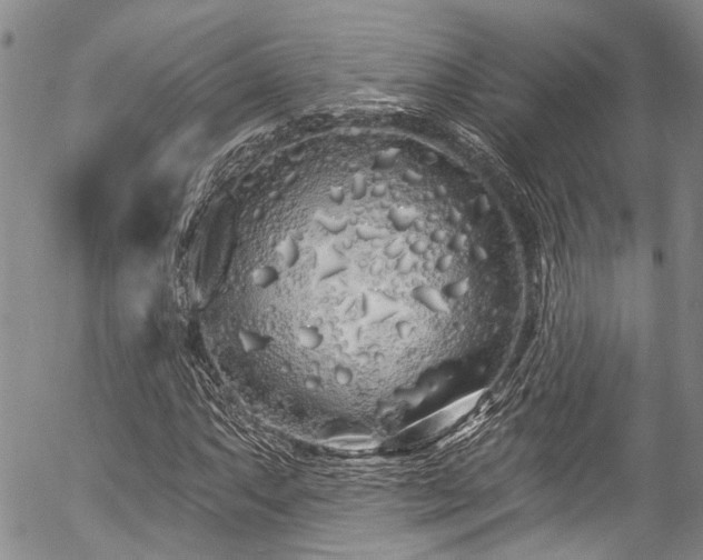 X0000057091063200509120913