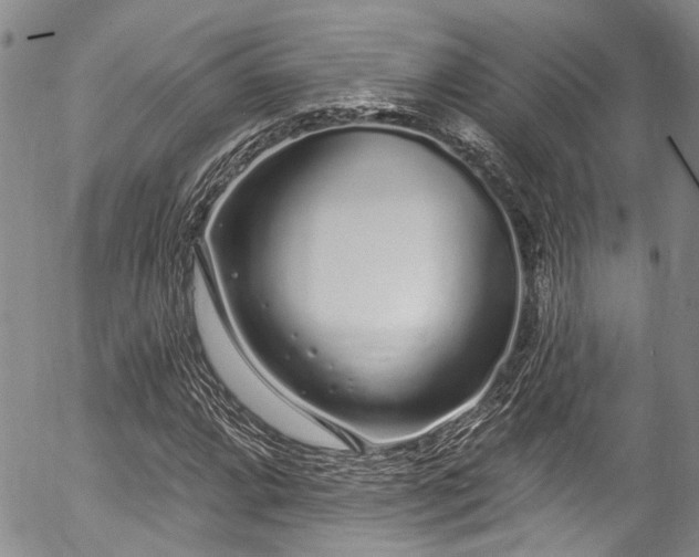 X0000057091064200509120913