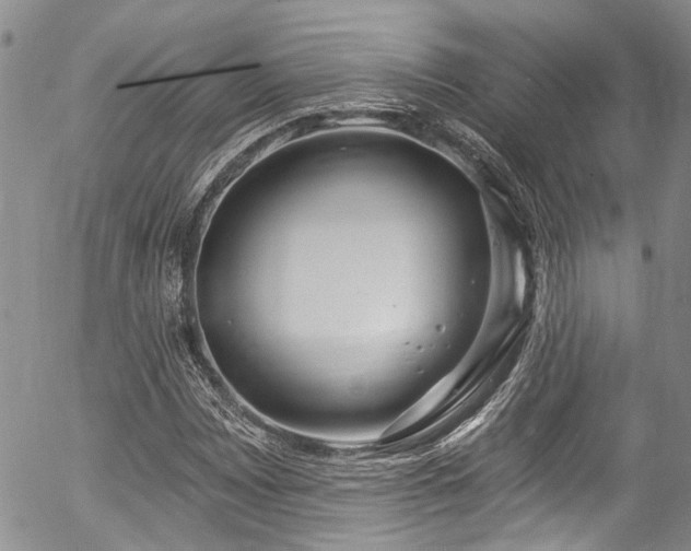 X0000057091065200509120913