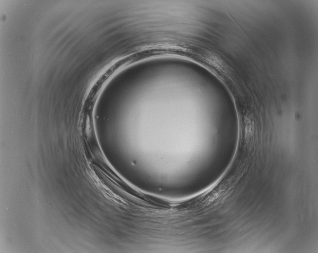 X0000057091068200509120913