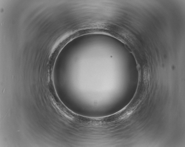 X0000057091069200509120913