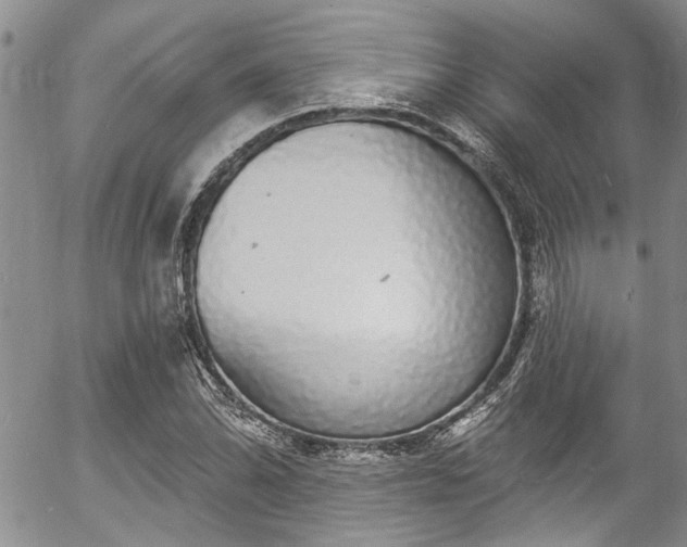 X0000057091070200509120913