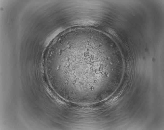 X0000057091071200509120913