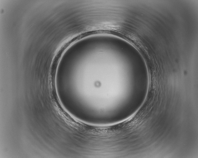 X0000057091072200509120913