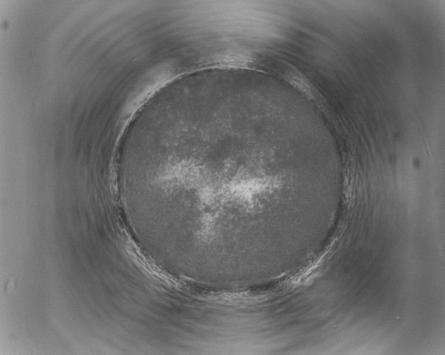 X0000057091074200509120913