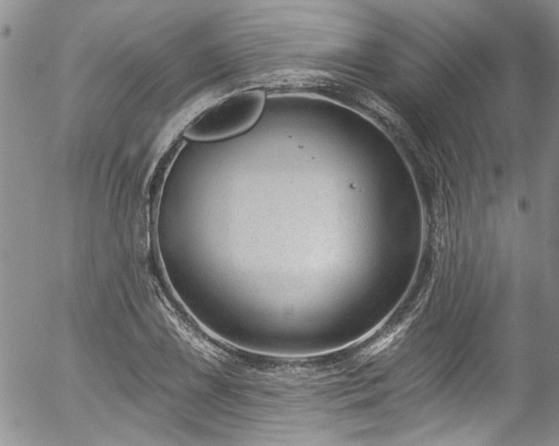 X0000057091075200509120913