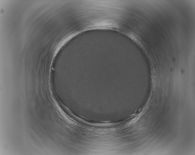 X0000057091077200509120913