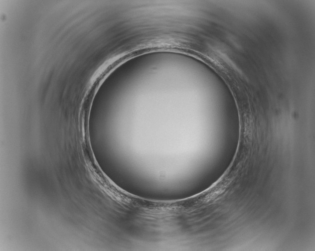 X0000057091078200509120913