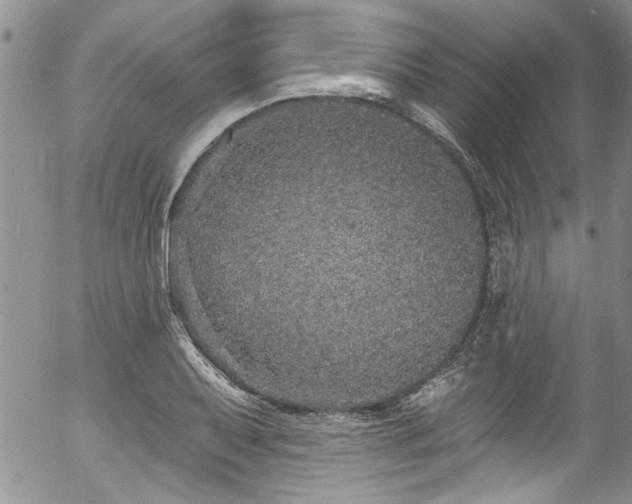 X0000057091079200509120913