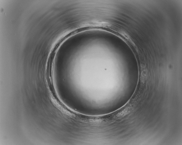 X0000057091080200509120913