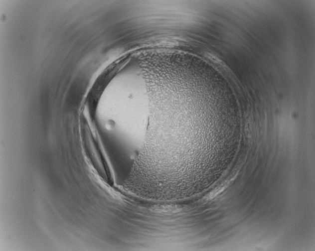 X0000057091083200509120913