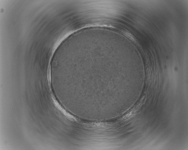 X0000057091084200509120913