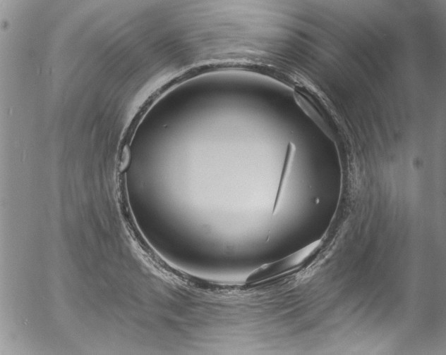 X0000057091085200509120913