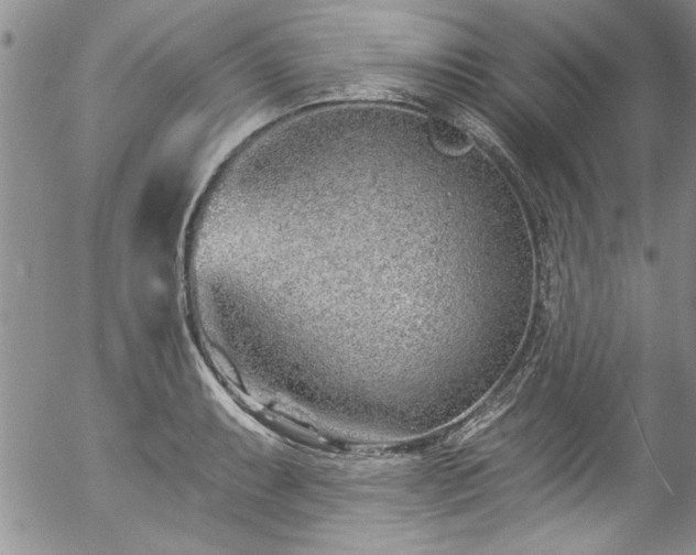 X0000057091087200509120913