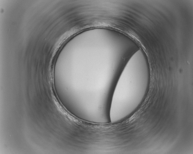 X0000057091088200509120913