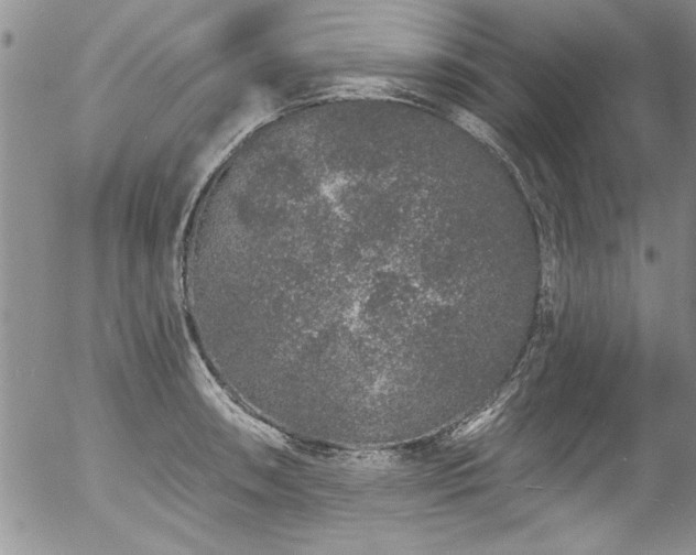 X0000057091090200509120913