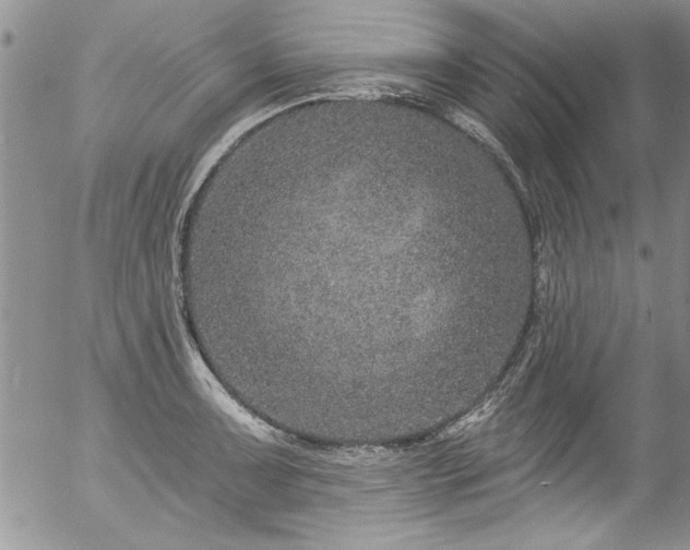 X0000057091091200509120913