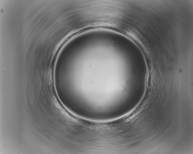 X0000057091092200509120913