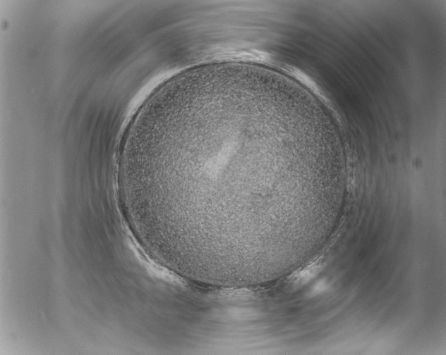 X0000057091094200509120913