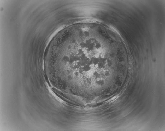 X0000057091095200509120913