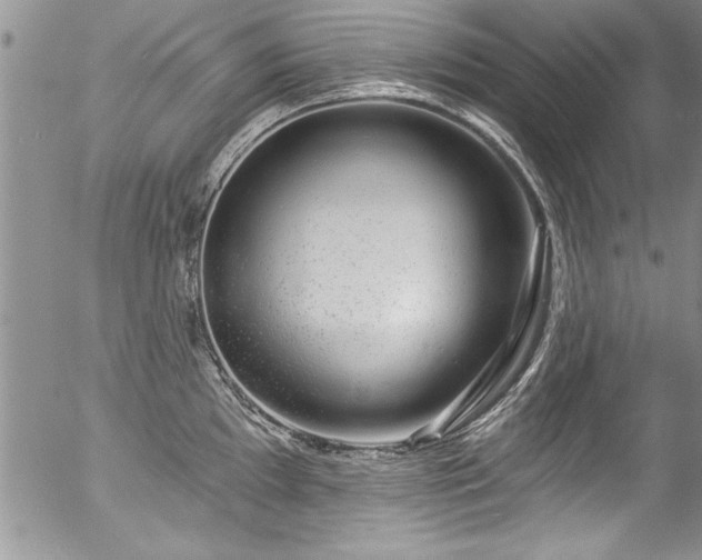 X0000057091097200509120913