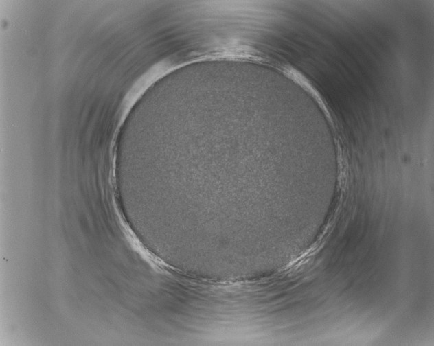 X0000057091099200509120913