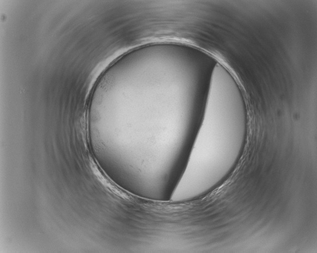 X0000057091100200509120913