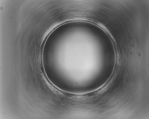 X0000057091101200509120913