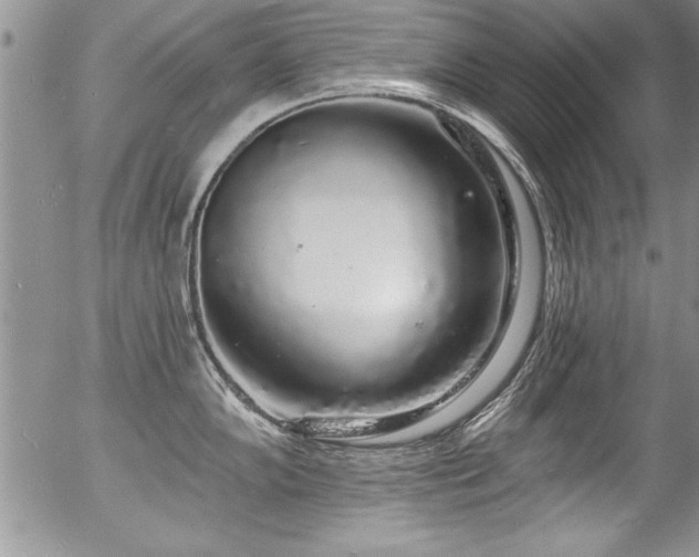 X0000057091102200509120913