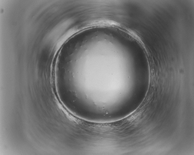 X0000057091103200509120913