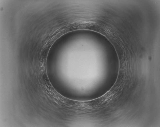 X0000057091109200509120912