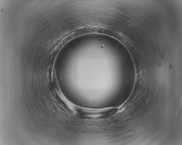 X0000057091110200509120912