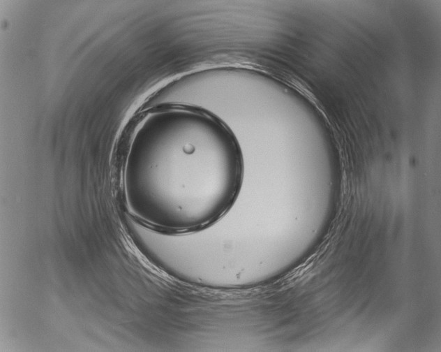 X0000057091116200509120912