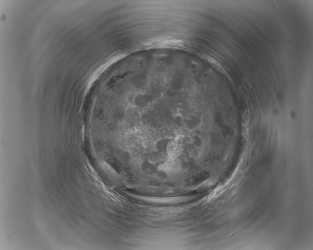 X0000057091117200509120912