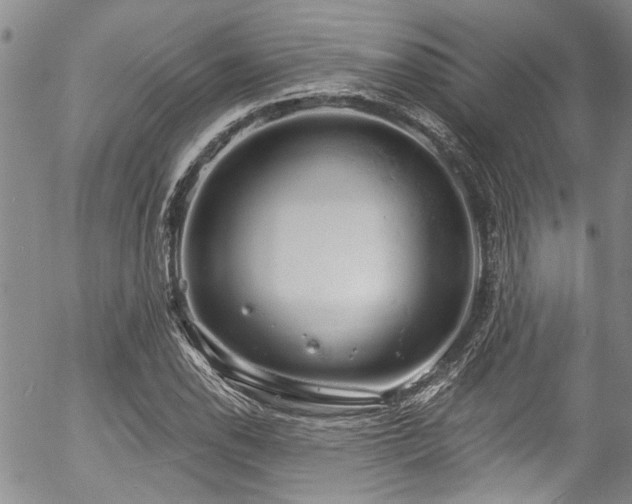 X0000057091118200509120912