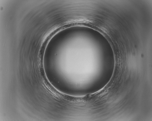 X0000057091119200509120912