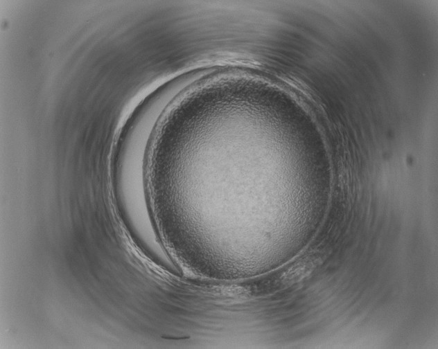 X0000057091120200509120912