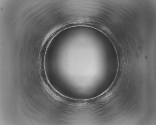 X0000057091122200509120912