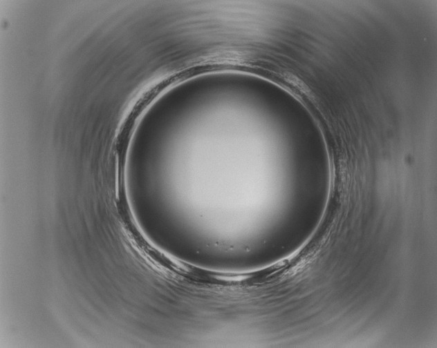 X0000057091123200509120912